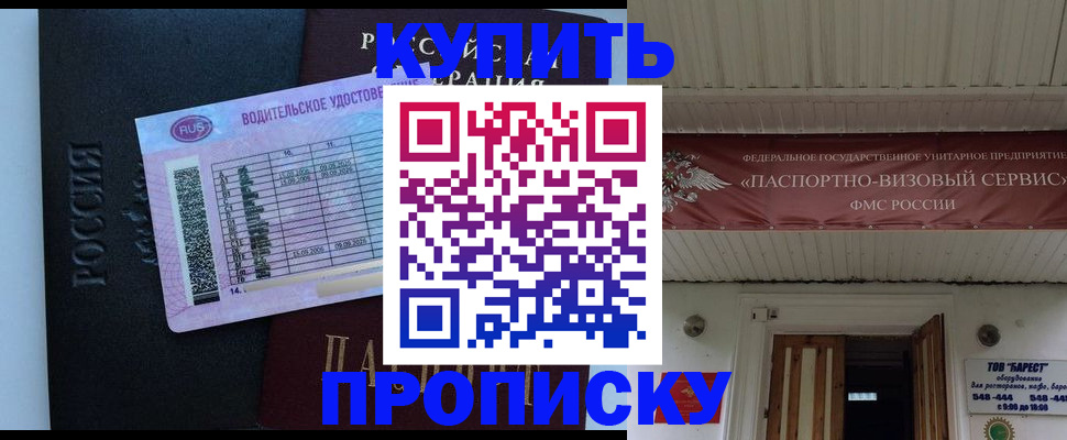 временная регистрация поиск в Завитинске